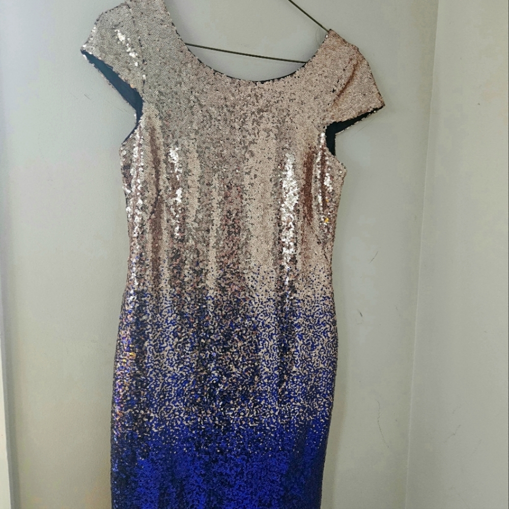 CONNECTED APPAREL Purple Sequined Ombré Dress size 8